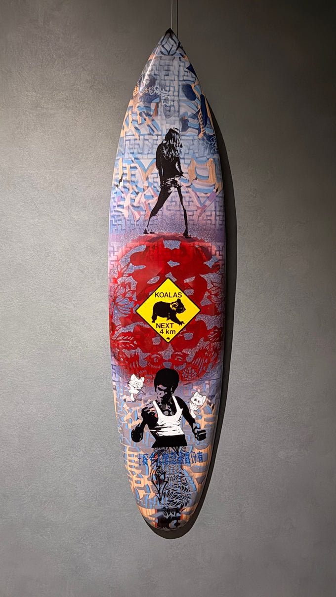 surfboard 8