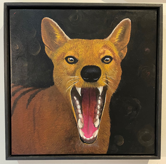 echo of the wild