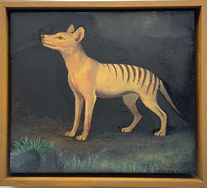 Thylacinus