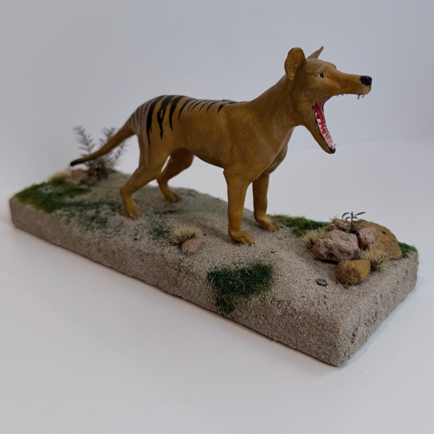 Roaring Tiger on The Beach
